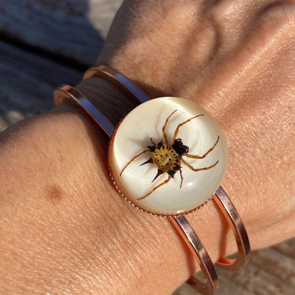 Real Spider Bracelet Cuff Stainless Rose Orb Weaver Arachnid Taxidermy Jewelry